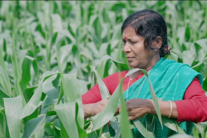 খরার কঠিন মাটিতেও সবুজের স্বপ্ন বুনছেন ক্ষুদ্র নৃগোষ্ঠীর নারীরা