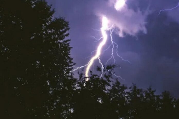 1774024924-3a41f11e3b8ce88398749accaa996ac0 ফরিদপুরে বজ্রপাতে প্রাণ গেল বিএনপি নেতার