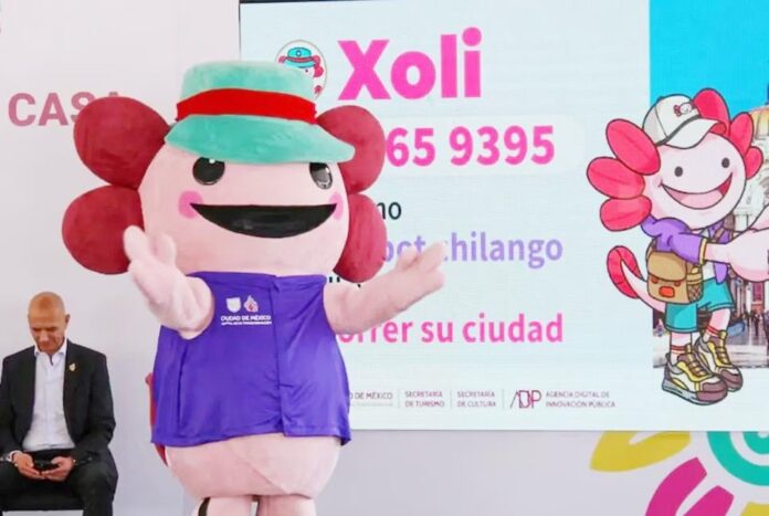 বিশ্বকাপ প্রস্তুতিতে ডিজিটাল উদ্যোগ, চ্যাটবট আনল মেক্সিকো সিটি