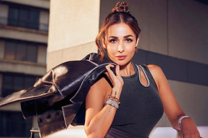 1774592117-6c1bc534dc1def4881d34070c00db28a প্রেমের গুঞ্জন নিয়ে মুখ খুললেন মালাইকা, জানালেন সম্পর্কে জড়ানোর ‘শর্ত’