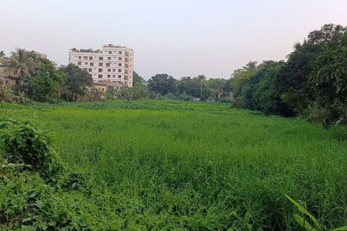 কুমিল্লা নগরীর শতাধিক পুকুর-দিঘি বাঁচানোর দাবি