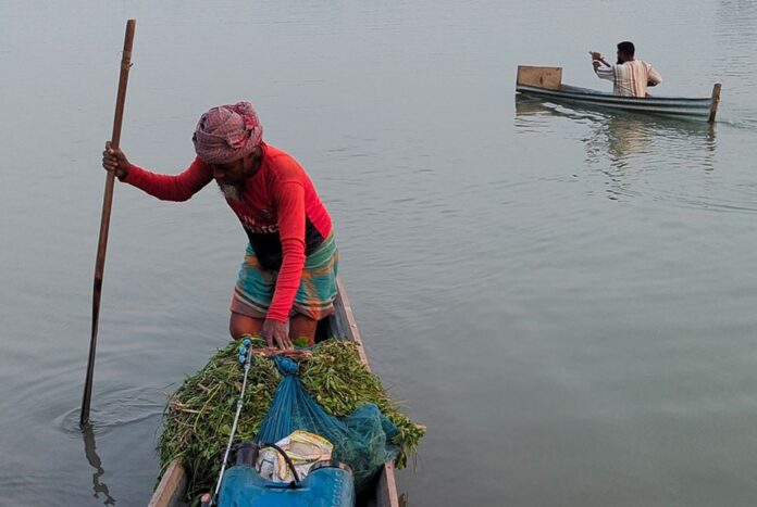 মুন্সীগঞ্জে জনপ্রিয় হয়ে উঠছে ডোঙা