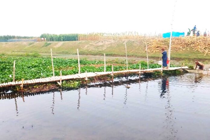 1775555934-c40dff940fb2f7faa81107a55585d7a6 বগুড়ায় নদী পারাপারে ঝুঁকিপূর্ণ বাঁশের সাঁকোই ভরসা!