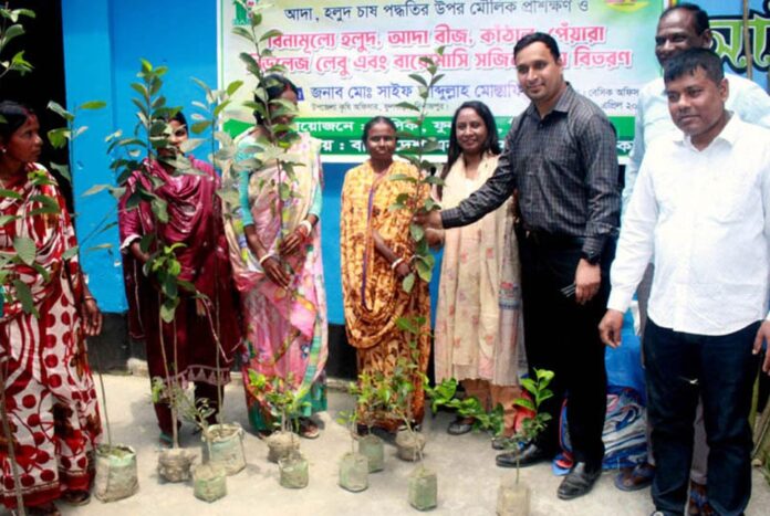 1776091714-89327175cf60582249f0a8bf54bb473c দিনাজপুরে গাছের চারা বিতরণ