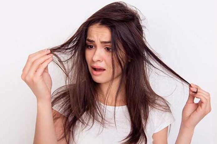 চুল রুক্ষ হয়ে যাচ্ছে, জেনে নিন যত্ন নেবেন যেভাবে