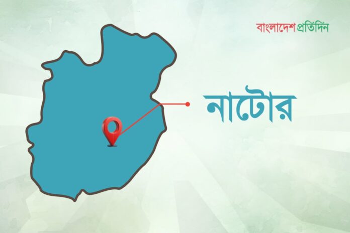 নাটোরে ৯১ লিটার ডিজেল জব্দ, জরিমানা