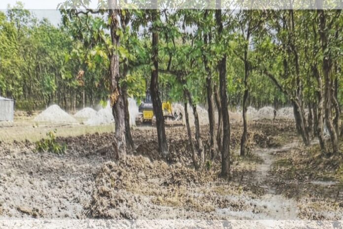 বন কেটে ভাগাড় নির্মাণ