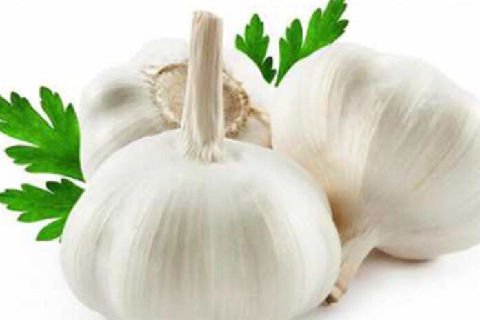 সকালে রসুন খাওয়ার উপকারিতা