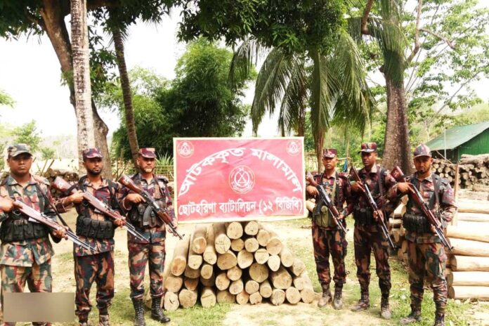 রাঙামাটিতে বিজিবির অভিযানে সেগুন কাঠ উদ্ধার