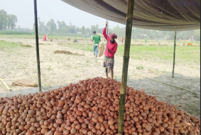 আলুর চিপস শিল্পে নতুন দিগন্ত, বদলাচ্ছে কৃষকের ভাগ্য