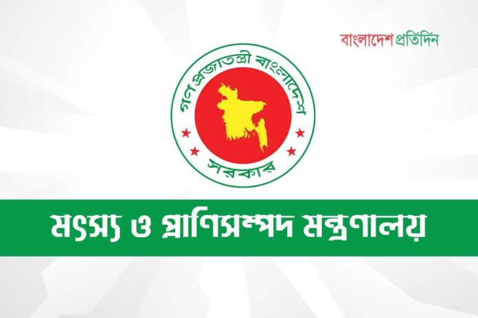 ভারত থেকে গরু আমদানির অনুমতিপত্রের বিষয়ে যা জানাল প্রাণিসম্পদ অধিদফতর