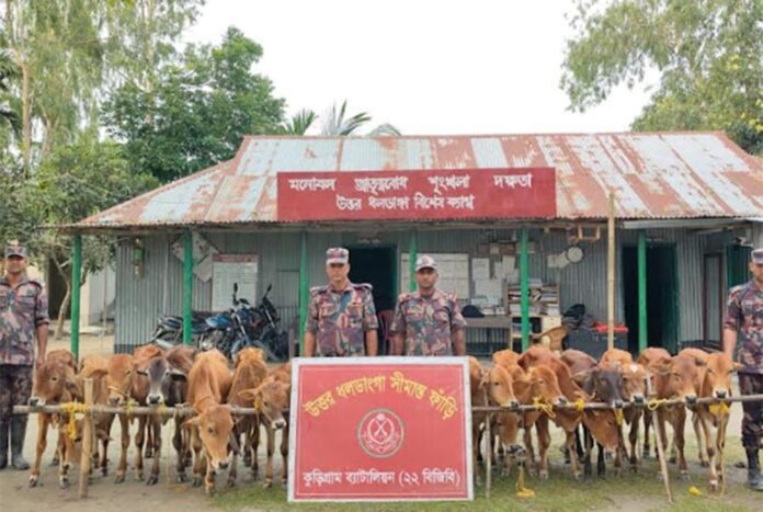 কুড়িগ্রামে ভারতীয় পণ্য জব্দ