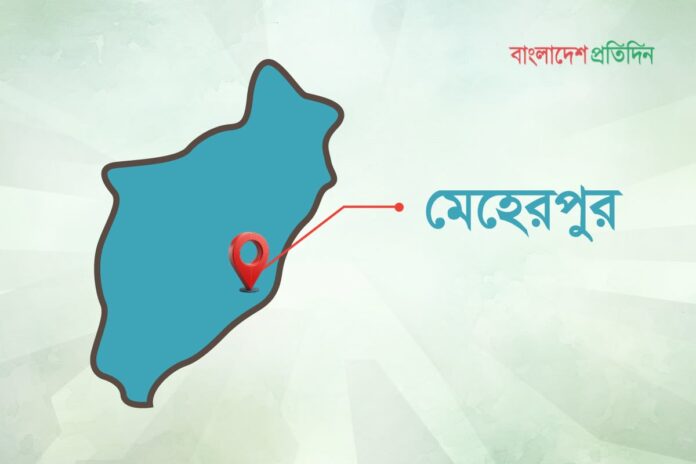 কথা কাটাকাটি, শেষে ভাইয়ের হাতে ভাই খুন