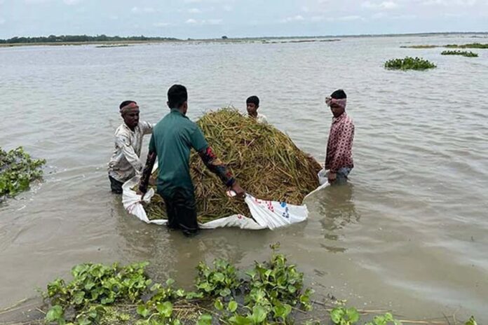 হাওরে বন্যার উন্নতি হতে পারে ‘তিন দিনের মধ্যে’