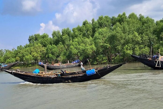 সুন্দরবনে দস্যুতা : মুক্তিপণ দিয়ে ছাড়া পেলেন ১৩ মৌয়াল