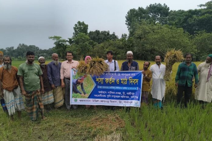 ব্লাস্ট প্রতিরোধী উচ্চফলনশীল ব্রি ধান-১১৪ নিয়ে গাজীপুরে মাঠ দিবস