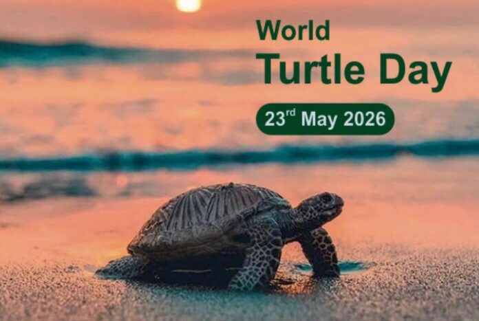 বিলুপ্তির ঝুঁকিতে কচ্ছপ, রক্ষায় এগিয়ে আসার আহ্বান