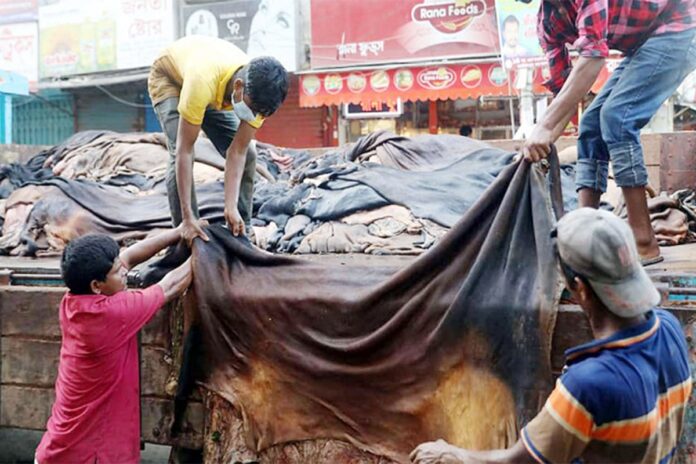 চামড়ার ন্যায্যমূল্য নিশ্চিতে জোর
