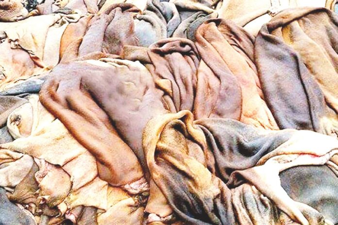 ট্যানারিতে বেছে বেছে কেনা হচ্ছে চামড়া, ২০ শতাংশ বাতিল