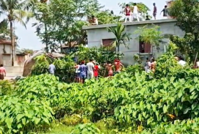 নাসিরনগরে কোরবানির ছুরি কেনার টাকা নিয়ে সংঘর্ষ, আহত ৬