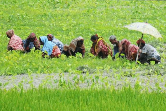 তাপপ্রবাহে অতিষ্ঠ উত্তরাঞ্চলের জনজীবন, বিপাকে কৃষিশ্রমিকরা