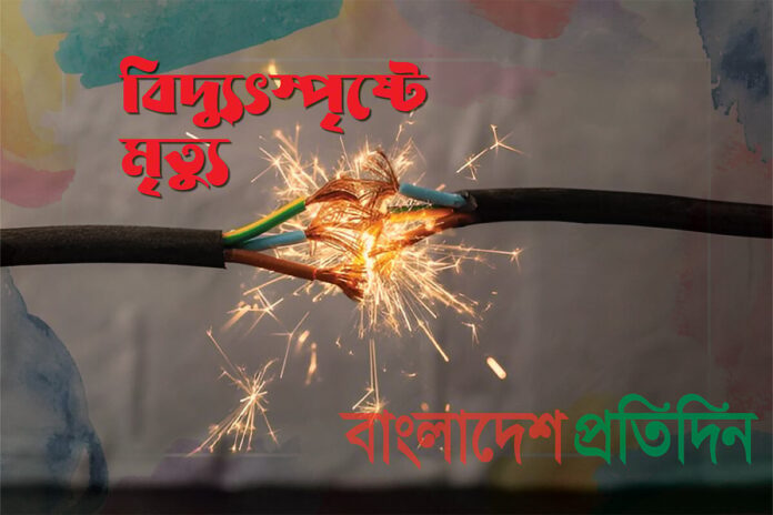 1780637341-584f1a9a1a33f47ac084dc8b0526320d বগুড়ায় বিদ্যুৎস্পৃষ্টে স্বামী-স্ত্রীর মৃত্যু