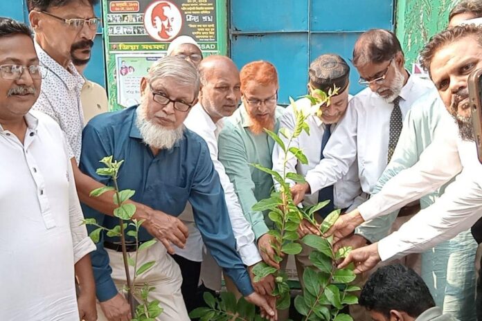 রংপুরে জিয়া সংসদের বৃক্ষরোপণ কর্মসূচি