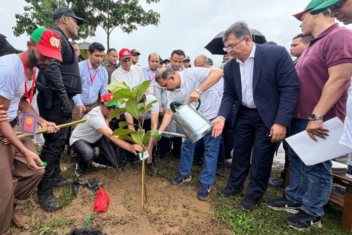 দেশব্যাপী ২৫ কোটি বৃক্ষরোপণ কর্মসূচির উদ্বোধন করলেন প্রধানমন্ত্রী
