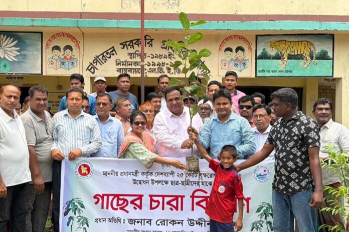 কালীগঞ্জে বৃক্ষরোপণ কর্মসূচি উদ্বোধন করলেন সংসদ সদস্য রোকন উদ্দিন