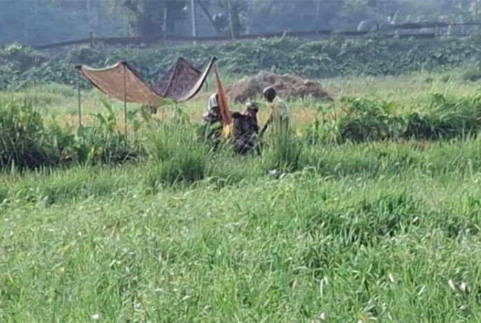 পাঁচবিবি সীমান্তে বৃদ্ধকে পুশইনের চেষ্টা নিয়ে উত্তেজনা