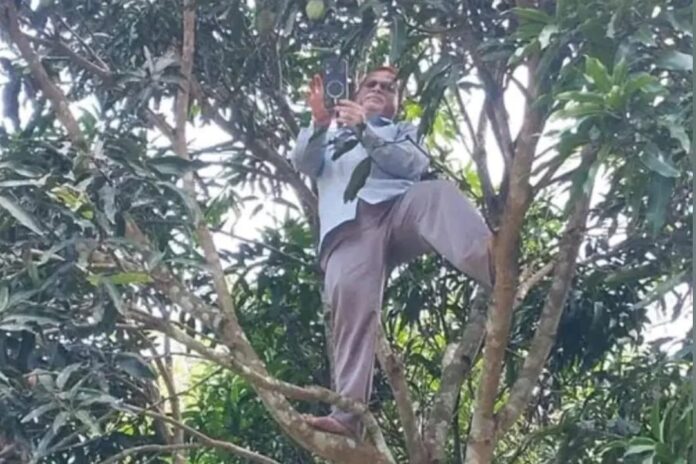 নেটওয়ার্কের খোঁজে আমগাছে উঠে অনলাইনে হাজিরা দিলেন শিক্ষক, ছবি ভাইরাল