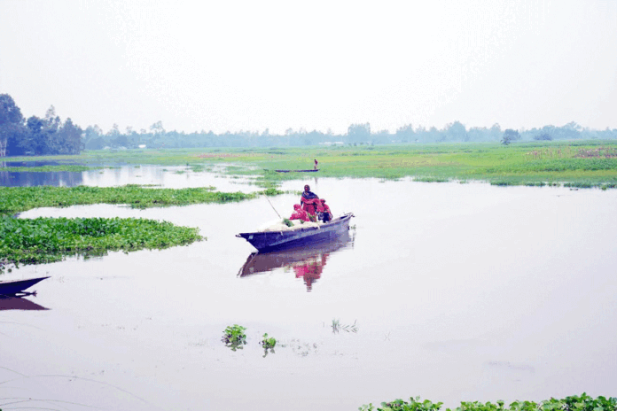 উজানের ঢলে পানি বাড়ছে তিস্তার, তলিয়ে যাচ্ছে আবাদি জমি