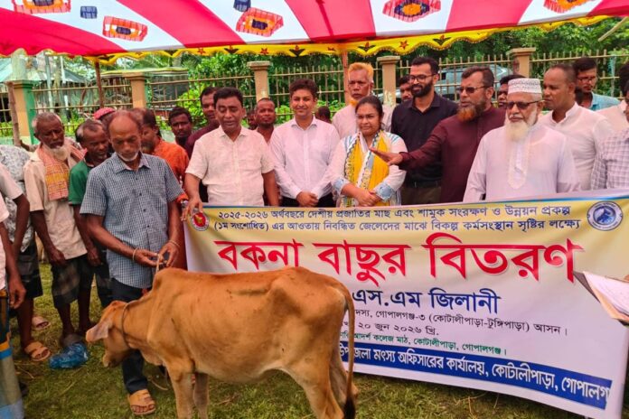 1781945585-23e8cde7f0999a4cc7029c77d790ad71 কোটালীপাড়ায় নিবন্ধিত জেলেদের মাঝে বকনা বাছুর বিতরণ