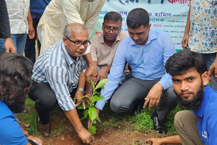 কলাপাড়ায় শিক্ষাপ্রতিষ্ঠানের সৌন্দর্যবর্ধনে বৃক্ষরোপণ কর্মসূচির উদ্বোধন