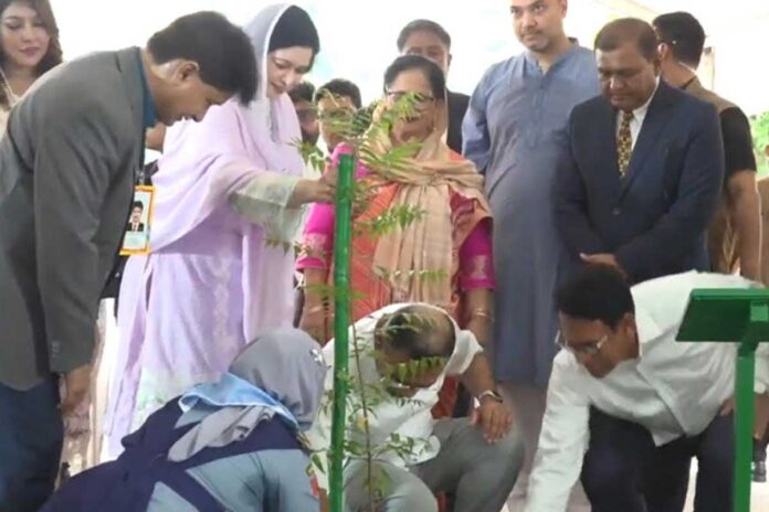২৯ হাজার শিক্ষাপ্রতিষ্ঠানে বৃক্ষরোপণ কর্মসূচির উদ্বোধন প্রধানমন্ত্রীর