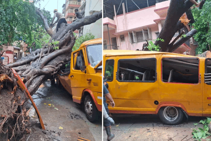 মুম্বাইয়ে স্কুল বাসের ওপর বিশাল গাছ ভেঙে পড়ে শিশুর মৃত্যু, আহত ১০